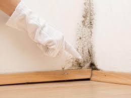 Best Residential Mold Inspection & Testing  in Marlton, MD